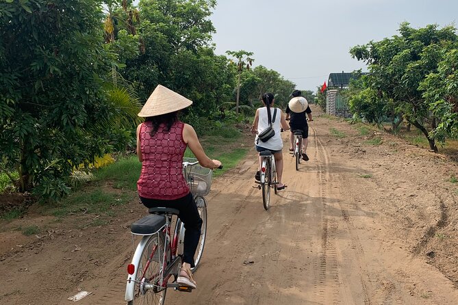 1-Day Explore Non-Touristy Side Of Mekong Delta- Group 10 Max - Longan gardens, honey tea, and a local home