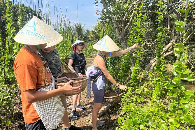 1-Day Explore Non-Touristy Side Of Mekong Delta- Group 10 Max - The sampan through Nipa palm-lined banks