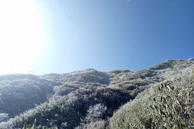 1 day Fansipan Trekking - Starting at 6:00 am from Sapa