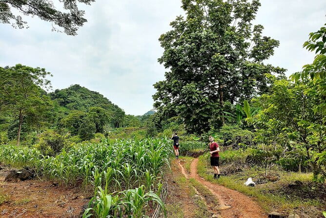1 Day Ha Giang Loop Tour by Motorbike with Easy Rider - Loopers - Lung Tam linen weaving and a local lunch
