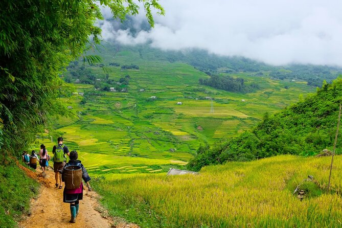 1 Day Sapa Authentic Trekking ( off beaten track ) - Suoi Ho and the Pine Forest