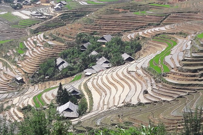 1 Day Sapa Authentic Trekking ( off beaten track ) - Meeting the Guides: Mr Sinh and Ms Mu