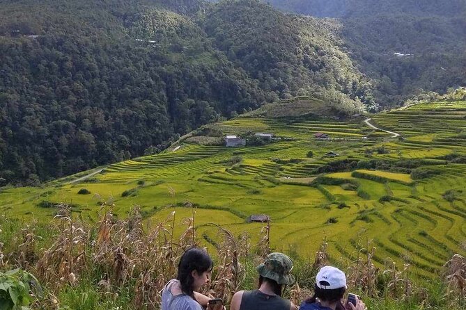 1 Day Sapa Authentic Trekking ( off beaten track ) - How Difficult Is the Walk?