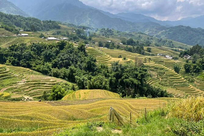 1 Day Sapa Authentic Trekking ( off beaten track ) - Price, Inclusions, and Overall Value