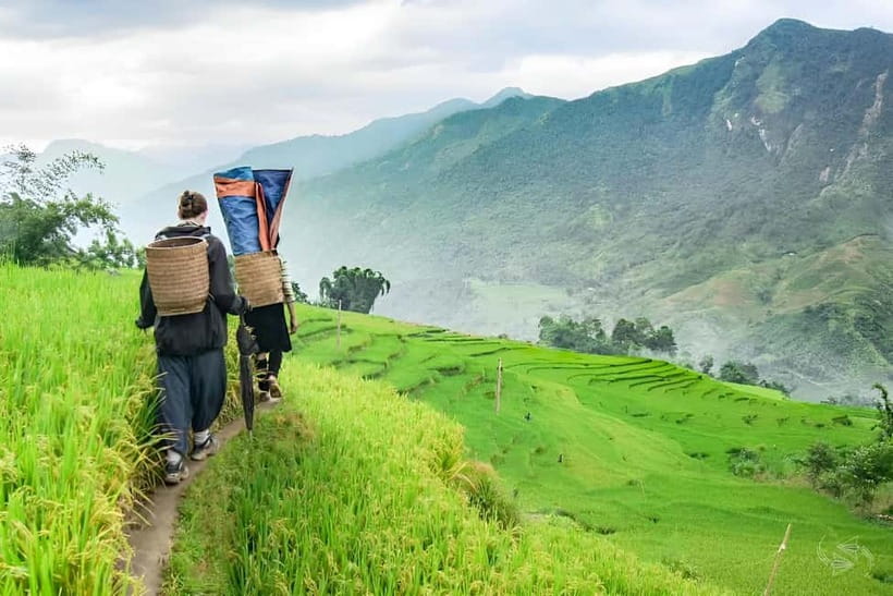 1-Day Sapa Long Trek - Rice Field Terrace, Ethnic Culture - The guides make the biggest difference
