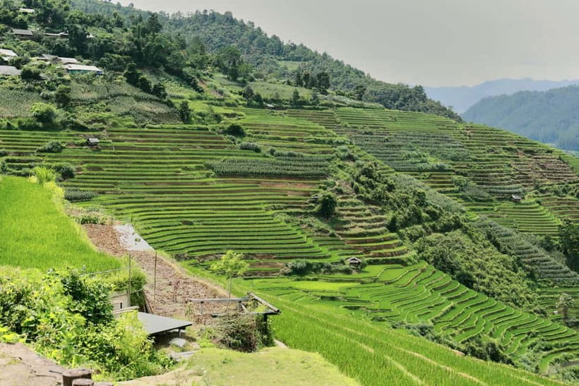 1-Day Sapa Long Trek - Rice Field Terrace, Ethnic Culture - Y Linh Ho at 11:00 AM, river, bridge, and open fields
