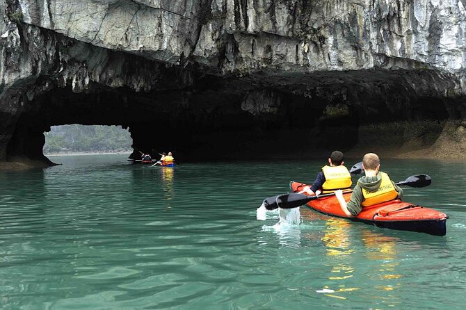 1 Day Tour to Halong Bay Cruise from 3 - 5 star Cruise & Transfer - Hang Luon Cave by kayak or bamboo boat