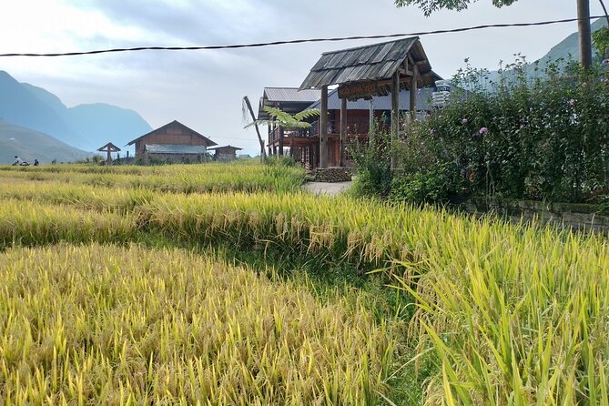 2-Day Sapa Guided Tour Slipping in Homestay From Hanoi - Silver Waterfall and the O Quy Ho Pass