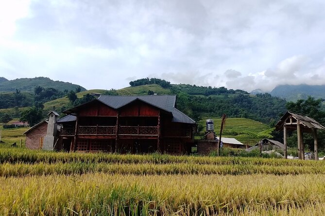 2-Day Sapa Guided Tour Slipping in Homestay From Hanoi - Lunch, Sapa market, and the long return to Hanoi