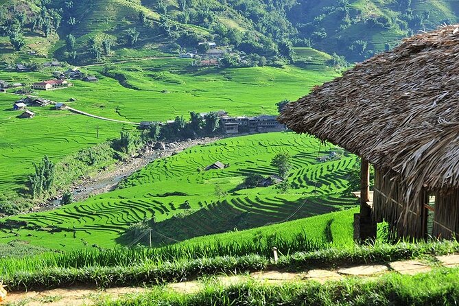 2-Day Trekking Adventure of Sapa from Hanoi with Night Bus - Day One: Y Linh Ho, Lao Chai, and the Muong Hoa Valley