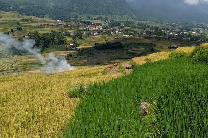 2 Day Trekking Experience: Explore with knowledgeable local guide - What $65 really gets you