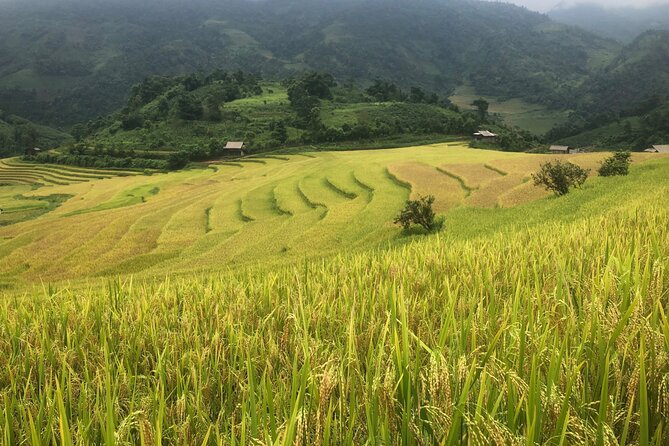 2 Day Trekking Experience: Explore with knowledgeable local guide - Lunch with a local family