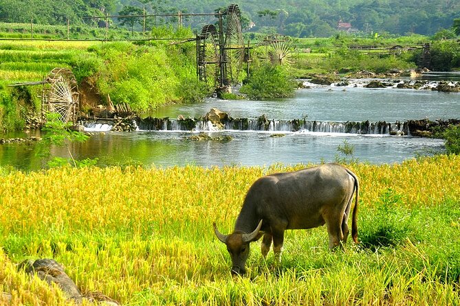 2 Days Pu Luong Offbeat Trekking Best for Mountain Lovers - The early Hanoi departure and four-hour road journey