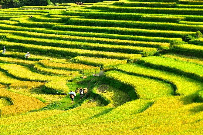 2 Days Pu Luong Offbeat Trekking Best for Mountain Lovers - Bang village and the return to the stilt house