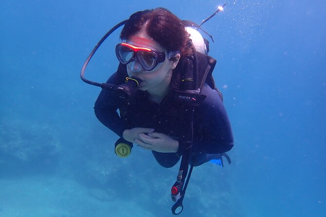 2 Fun Dives for certified Divers - What the four-person limit means