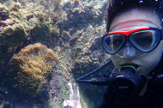 2 Fun Dives for certified Divers - A useful refresher for rusty certifications