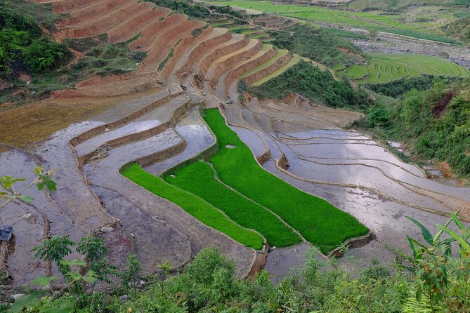 2D1N Buffalo trek by Hmong Sister House and Trekking - Day 1: From the Sapa bus station to Hau Thao village