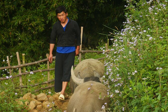 2D1N Buffalo trek by Hmong Sister House and Trekking - Who should book this trek?