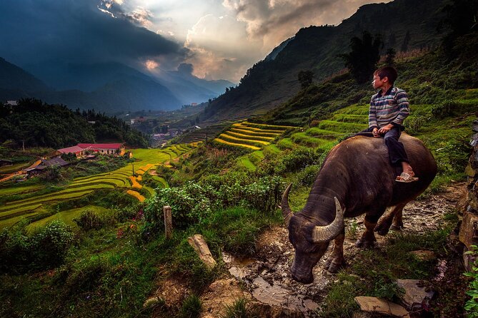 2D1N Buffalo trek by Hmong Sister House and Trekking - Rice terraces, forest paths, and the climb to the buffalo house