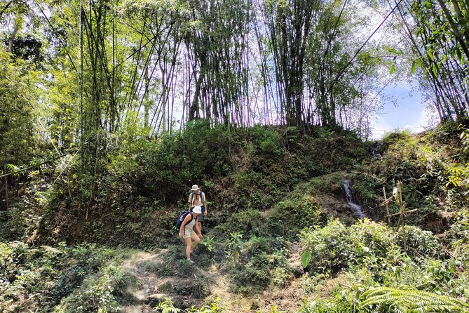 3-Day Trek in Amazing Muong Hoa Valley & ethnic Homestay - Why Muong Hoa Valley makes a good three-day trek