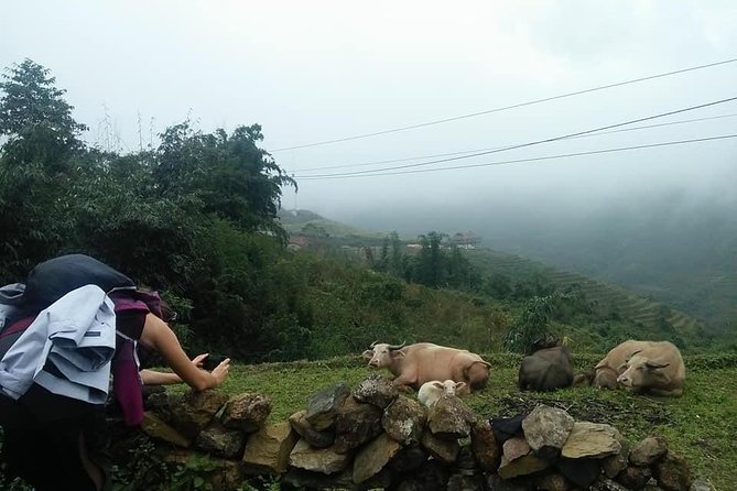 3-Day Trek in Amazing Muong Hoa Valley & ethnic Homestay - How hard is the walking?