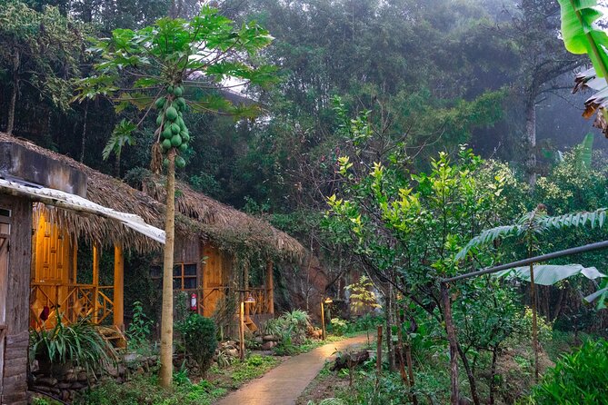 3-Day Trekking Adventure of Sapa from Hanoi - Stay Ta Van Village - The Hanoi to Y Linh Ho start