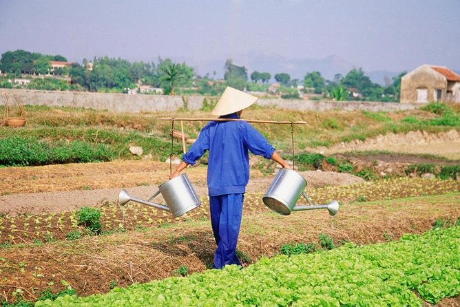 3 Hours Hoi An Countryside Bicycle Tour - Why this ride is a smart change of pace