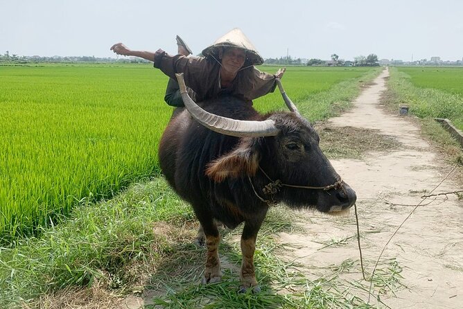 3 Hours Hoi An Countryside Bicycle Tour - Starting with lotus ponds, rice fields, and Tra Que