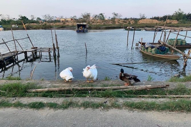 3 Hours Hoi An Countryside Motorbike Tour - Is $51.45 a fair price?