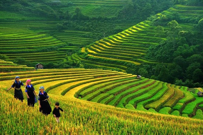 3-Night Sapa Trek and Homestay with Round Trip Transfer from Hanoi - Why this Sapa trip feels different from a standard day tour