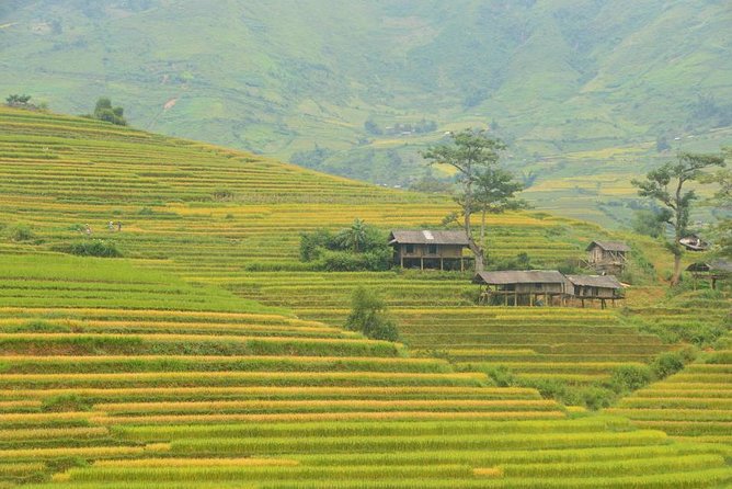 3-Night Sapa Trek and Homestay with Round Trip Transfer from Hanoi - The handicraft center and local skill-sharing