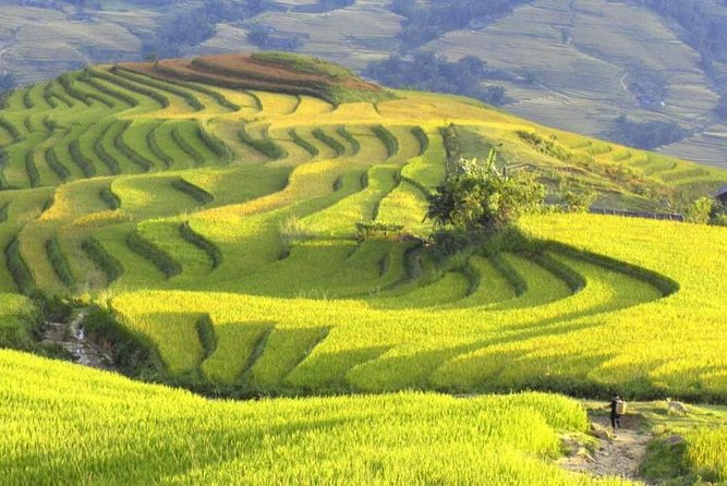 3-Night Sapa Trek and Homestay with Round Trip Transfer from Hanoi - The 8 p.m. departure from Hanoi