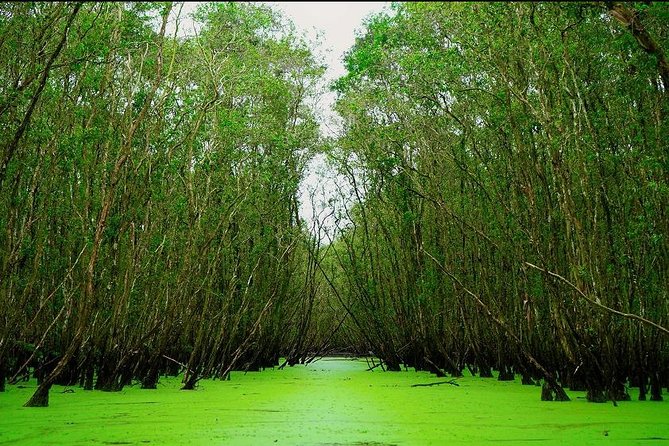 3D2N Mekong - Floating Market - Chau Doc - Boat To Phnom Penh - From Bui Vien Street to Vinh Trang Pagoda
