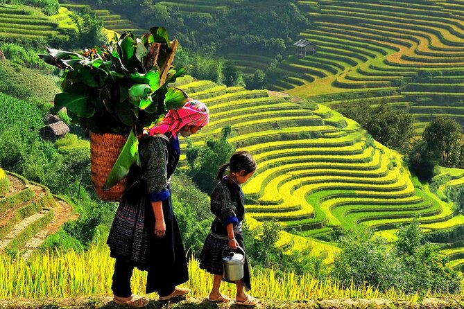 7 Days Vietnam Travel (Hanoi- Ninh Binh - Sapa - Ha Long) - The overnight sleeper: efficient, but not private