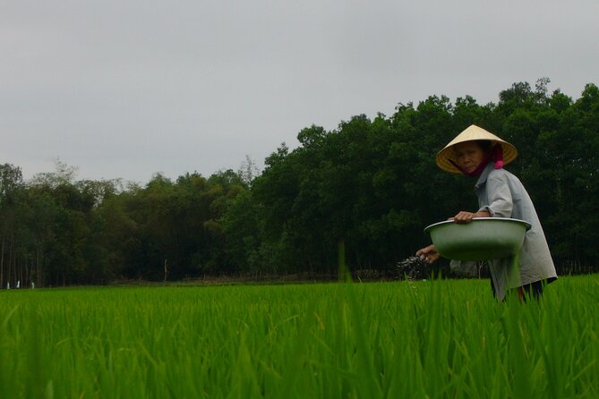 Adventure Bike Tour from Hoi An - Rice Fields Between River and Mountains