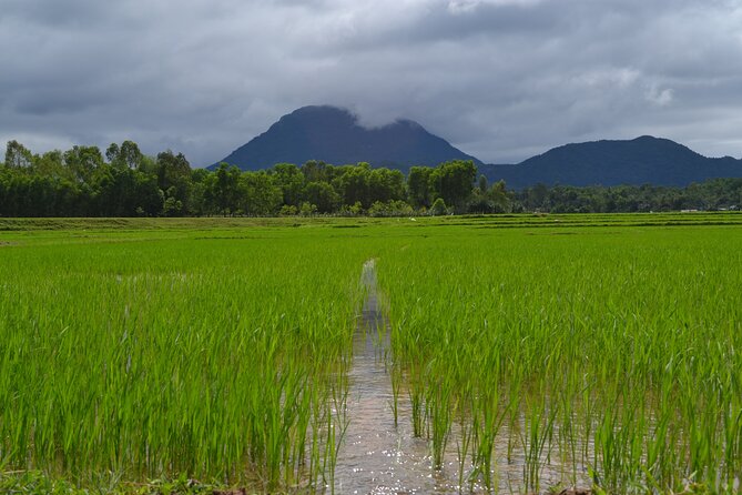 Adventure Bike Tour from Hoi An - Tea in a Traditional Wooden Home