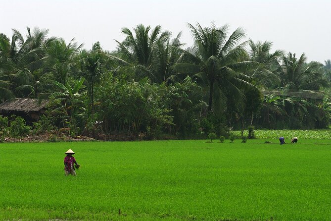 Adventure Cu Chi Tunnels and Mekong Delta Tour From HCM - Lunch before the Mekong Delta