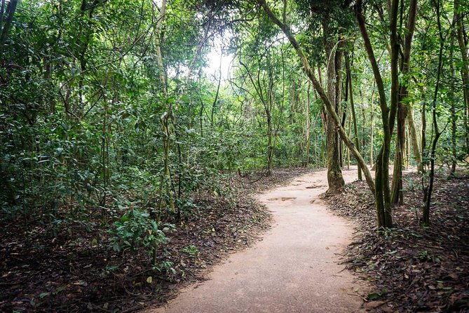 Afternoon Cu Chi Tunnels - Small Group Half-Day Tour - Arriving at Ben Dinh Tunnels