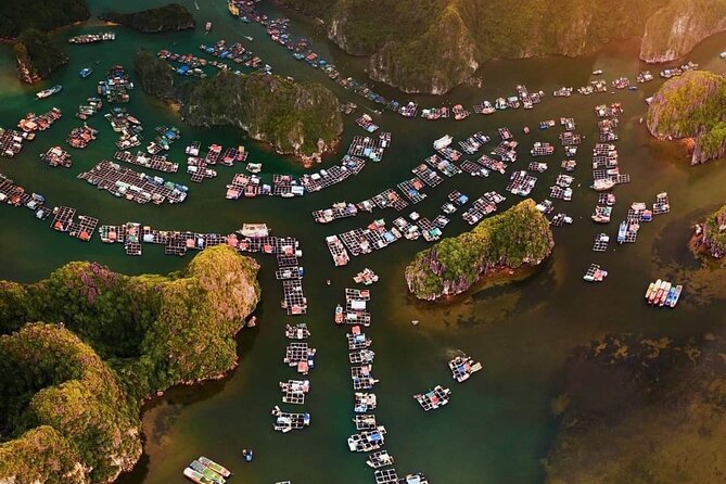 Amazing day - Boat trip discover real Ha Long Bay and Lan Ha Bay - Cai Beo, where fishing is a way of life