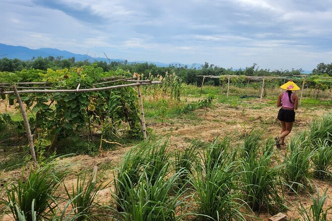 ATV Quad Bike Hoi An Adventure & BBQ Feast - How hard is the quad bike ride?