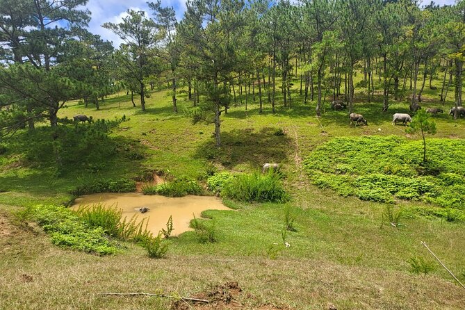 ATV Tour In The Dalat Mountains - Golden Valley and the first mountain trails