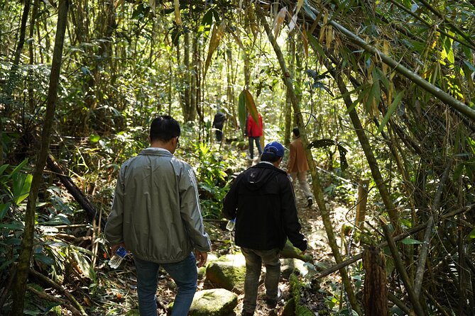 Bach Ma National Park trekking daily tour from Da Nang, Hoi An - Do Quyen Waterfall Rewards the Extra Effort