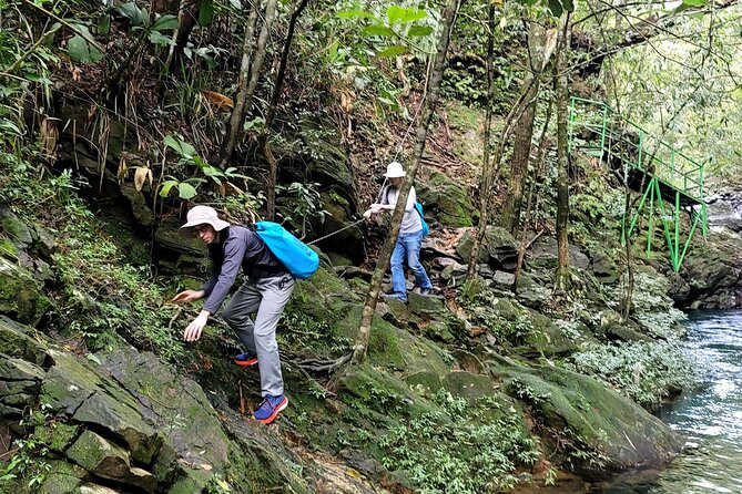 Bach Ma National Park trekking daily tour from Da Nang, Hoi An - Who Will Enjoy This Bach Ma Day Most