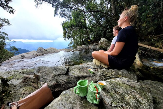 Bach Ma National Park trekking deluxe daily tour from Hue - Wildlife, weather, and what you may not see