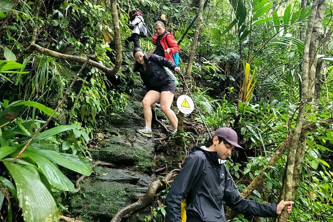 Bach Ma National Park trekking deluxe daily tour from Hue - Is $49 a good value?