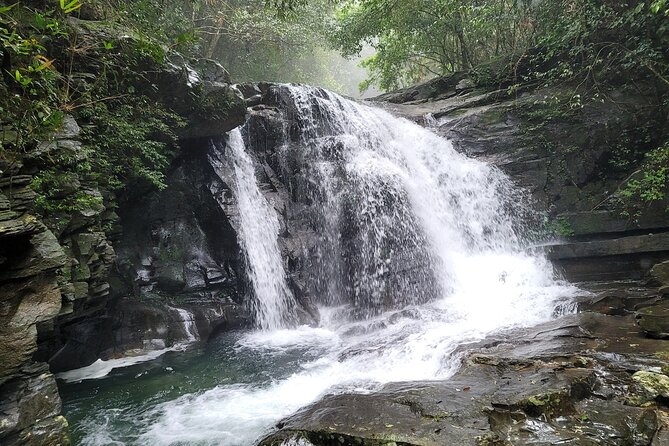 Bach Ma National Park trekking deluxe daily tour from Hue - Who should book this trek?