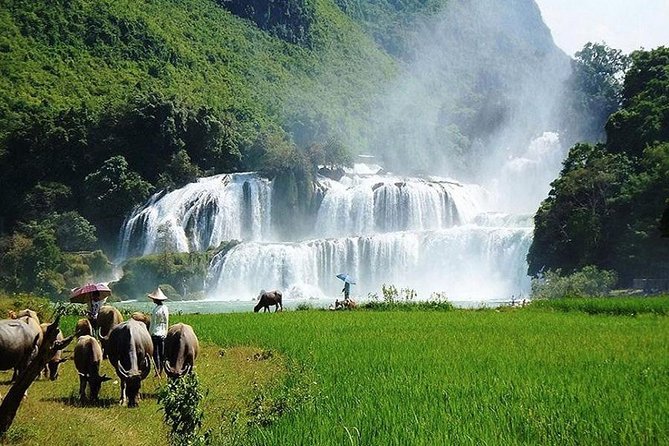Ban Gioc Waterfall 3 Days 2 Nights From Hanoi - The local side of the trip