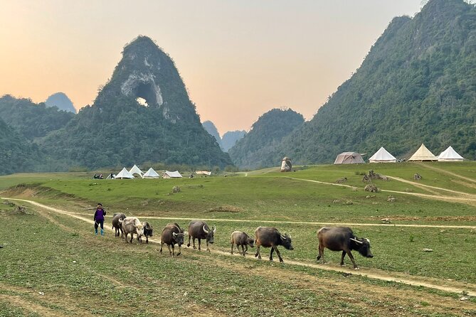 Ban Gioc Waterfall & Mt Angel Eye Full Day Trip with Easy Rider - What the $76 price really covers