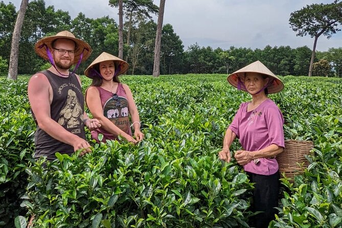 Bavi Eco Tour: Immerse in Authentic Village Life Outside Hanoi - Meeting Duoc at the Ri village tea farm
