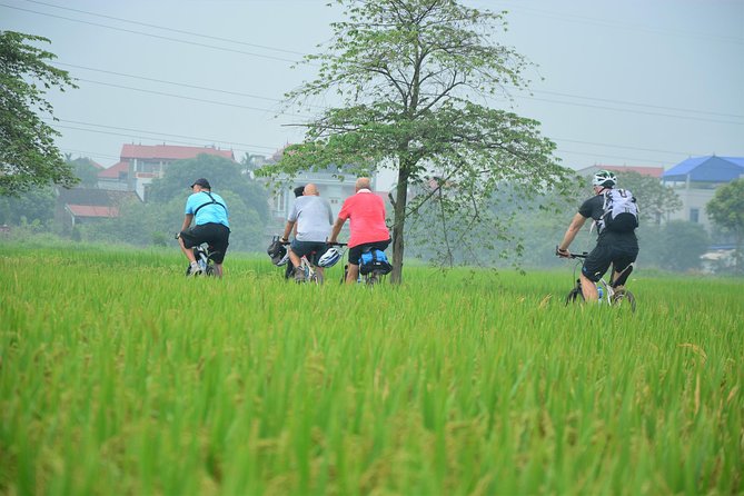 Bicycle Tours Hanoi: Full Day Bicycle Tour Hanoi Countryside - A local family, bonsai plants, and the Lại Đà stop
